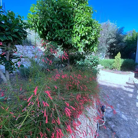 Akdenizvillas *