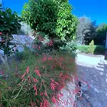 Akdenizvillas *
