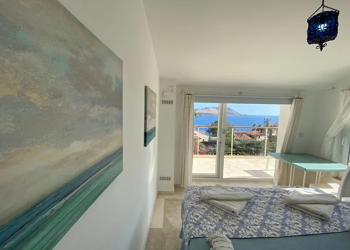 Su 别墅 卡斯